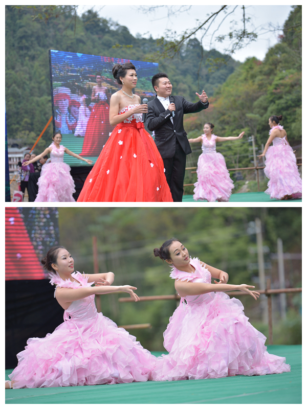 大学生艺术团表演节目