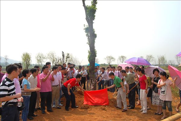 学员们与校友总会负责人共同为捐种的爱心树石刻揭幕
