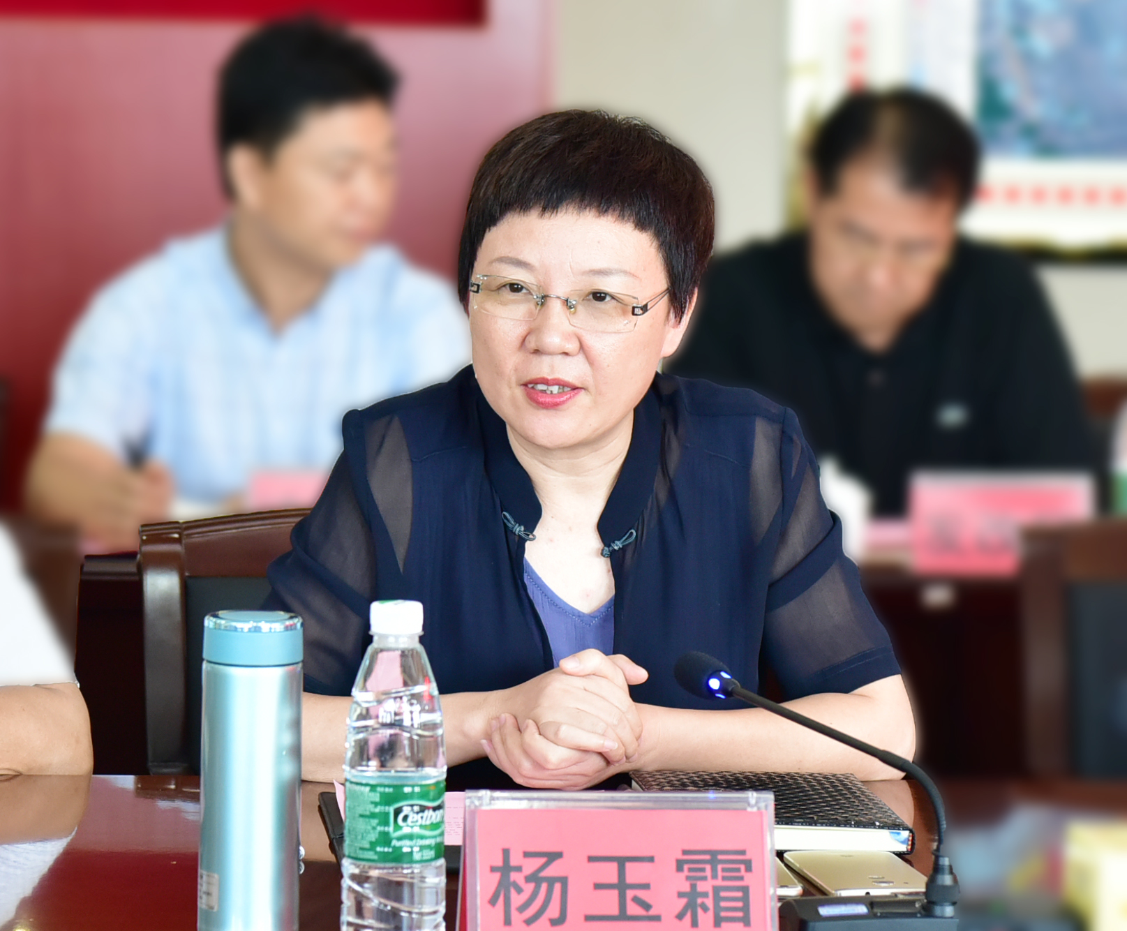 雁山区区长 杨玉霜讲话9.jpg