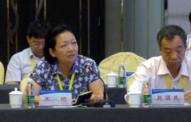 王枬书记做大会发言，介绍小组讨论情况