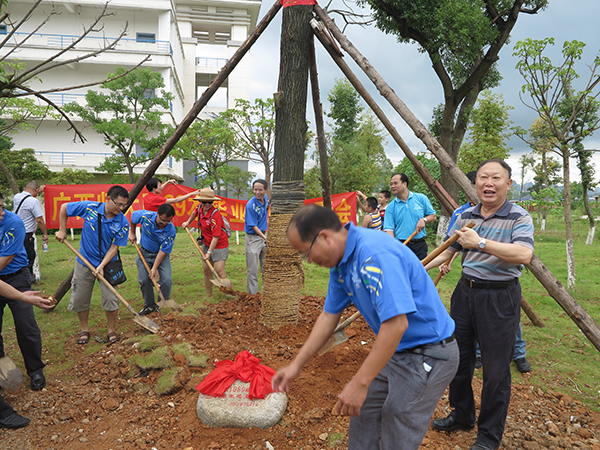 政治与行政学院1989级捐种爱心树
