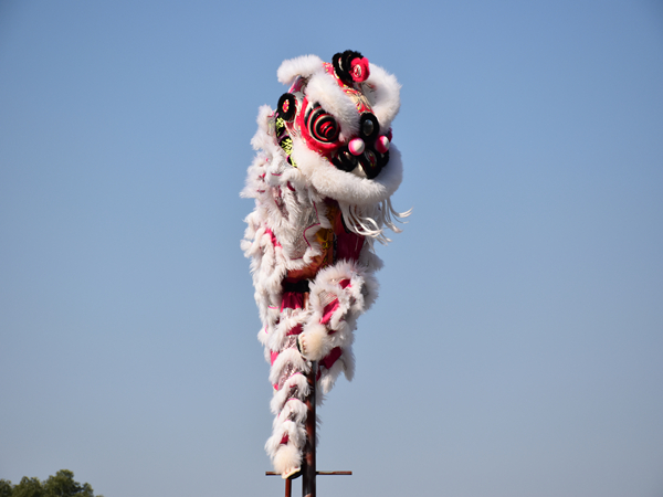 精彩舞狮表演.jpg 精彩舞狮表演.jpg