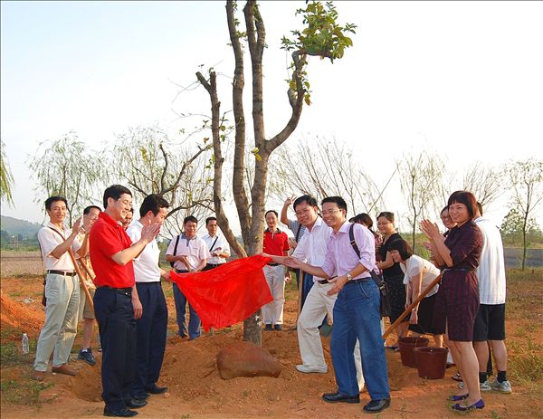 校友们与校友总会负责人共同为捐种的桂花树石刻揭幕