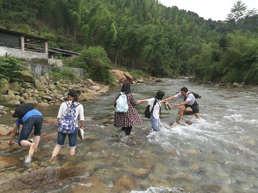调研团队在社岭村调研路上.jpg
