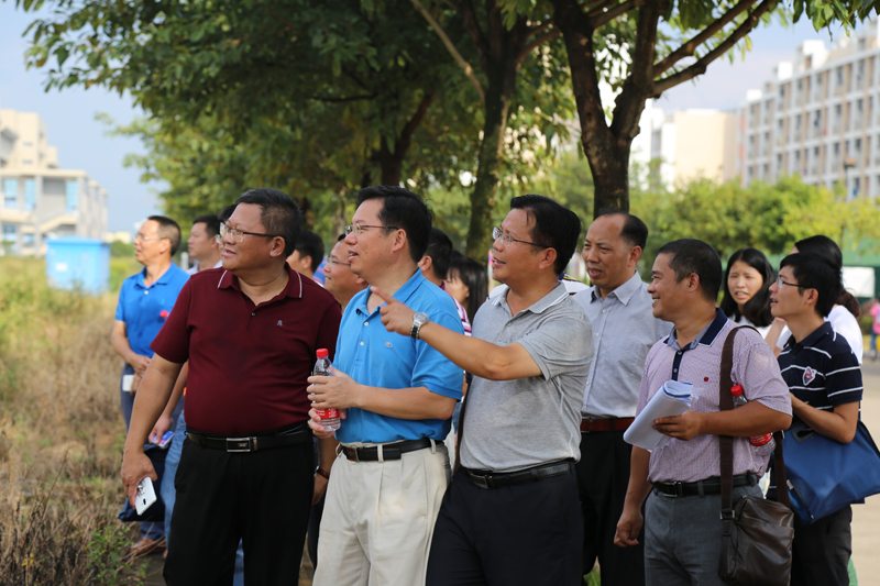 IMG_2240 - 副本.JPG