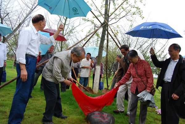 校友冒雨为爱心树举行揭幕仪式