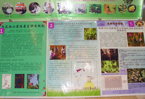 同学们精心制作的成果汇报海报。