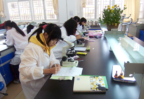 学生认真进行植物学实验。
