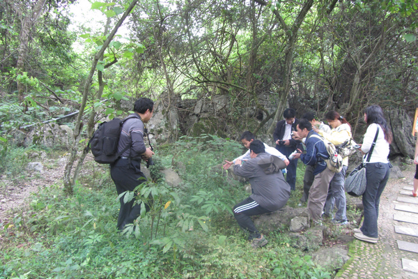 老师们对园内的珍稀植物进行观察研究
