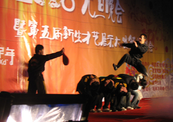 晚会上精彩武术表演。