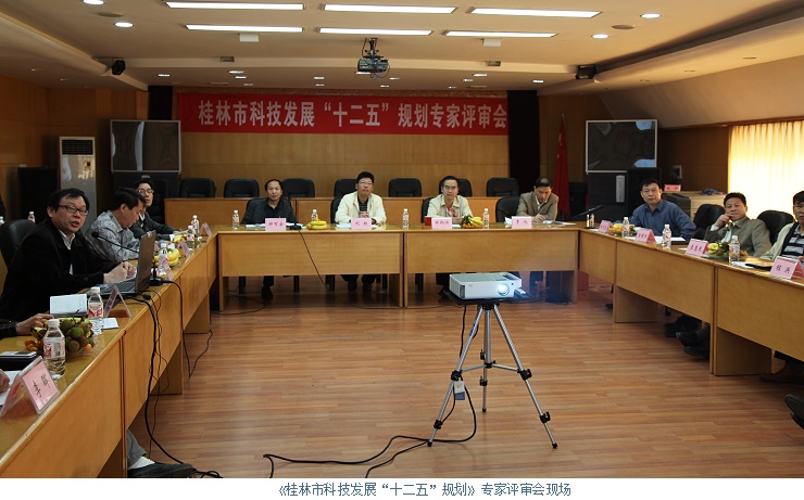 陈孟林教授参加桂林市科技发展“十二五”规划专家评审会答辩