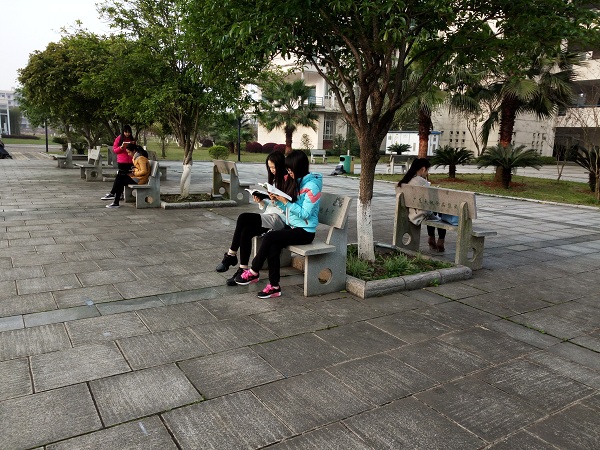 活动二：同学们在晨读