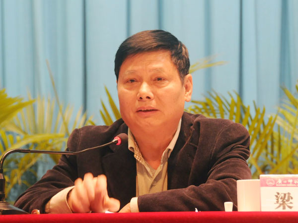 检查组组长梁启光在会上讲话。