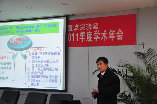 陈振锋教授在作学术报告