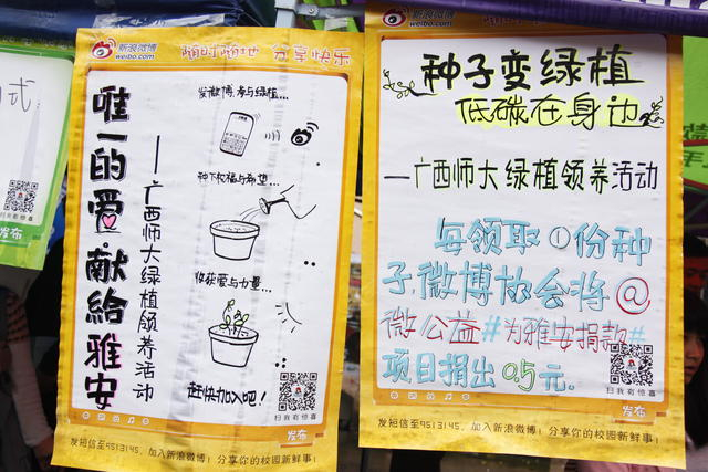 绿植活动宣传海报（大学生通讯社 梁泉 摄）