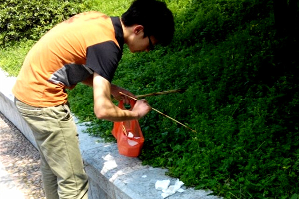 北部湾协会到南溪山公园开展清洁活动