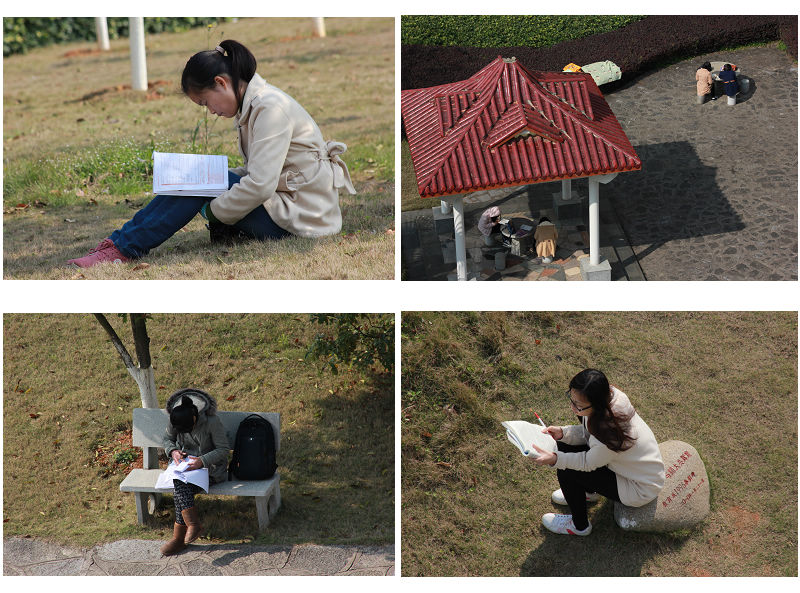 晨读的师大学子(邹添龙 摄)