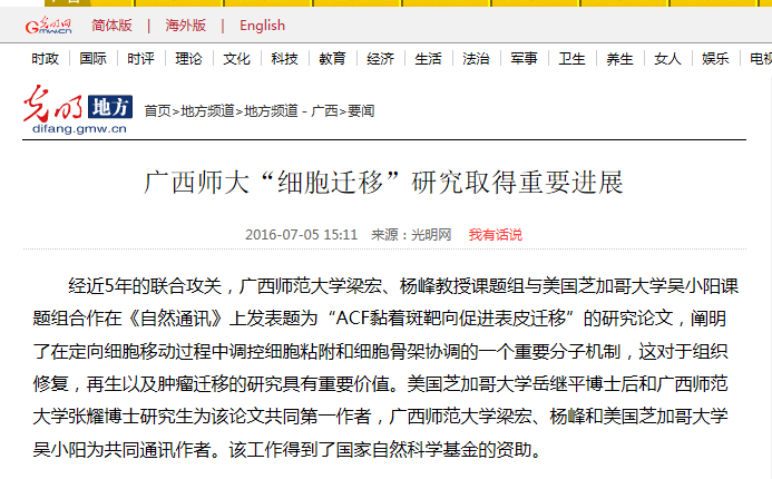 光明网报道截图
