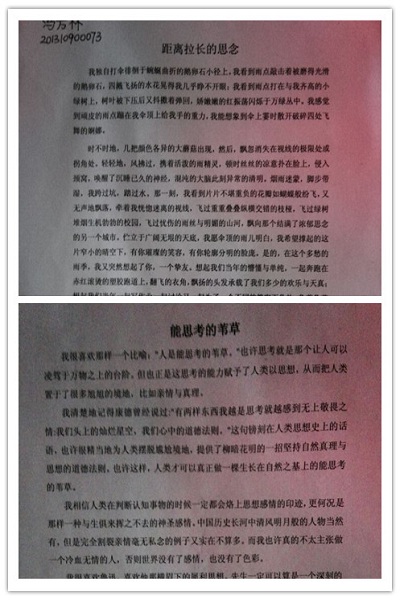 写一篇美文