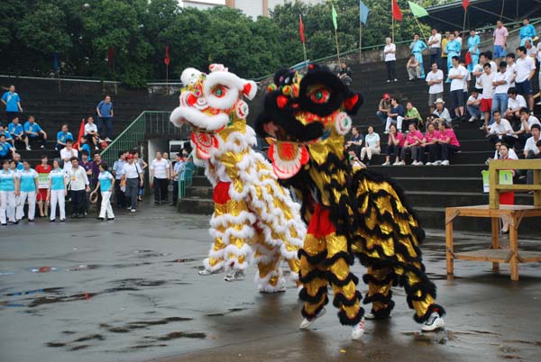 雄狮迎宾