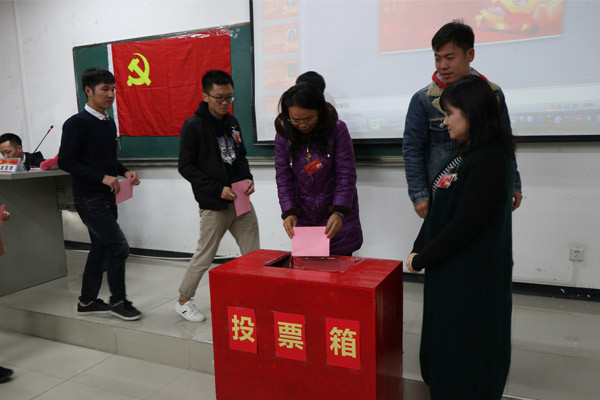 4.党员进行投票选举.jpg