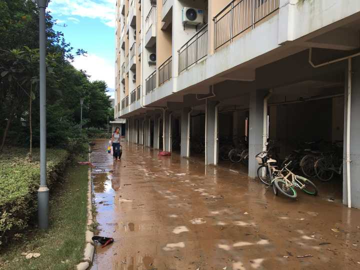 QQ图片20170703180438.jpg