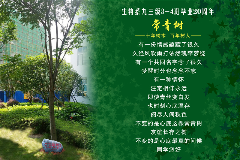 校友们认捐的爱心树