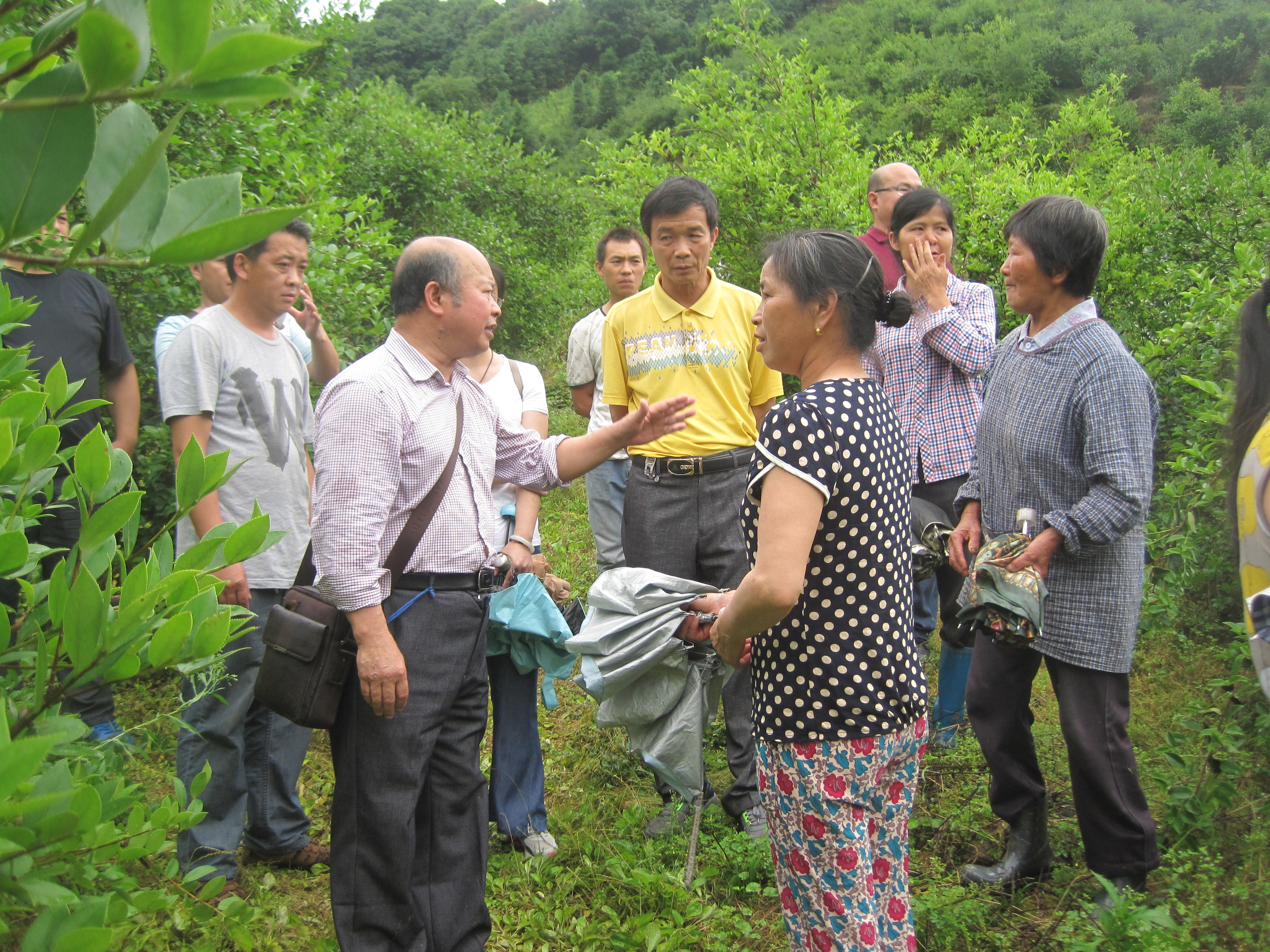 5月24日在龙胜县六漫村油茶示范林内现场讲授油茶丰产栽培技术。.JPG