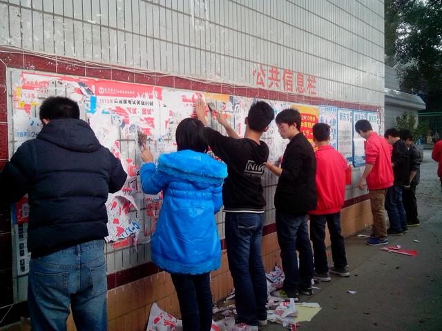 志愿者们在清理“牛皮癣”