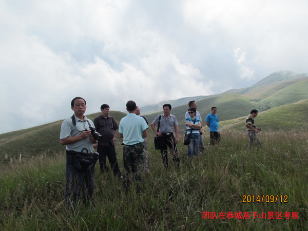 团队在恭城燕子山景区考察