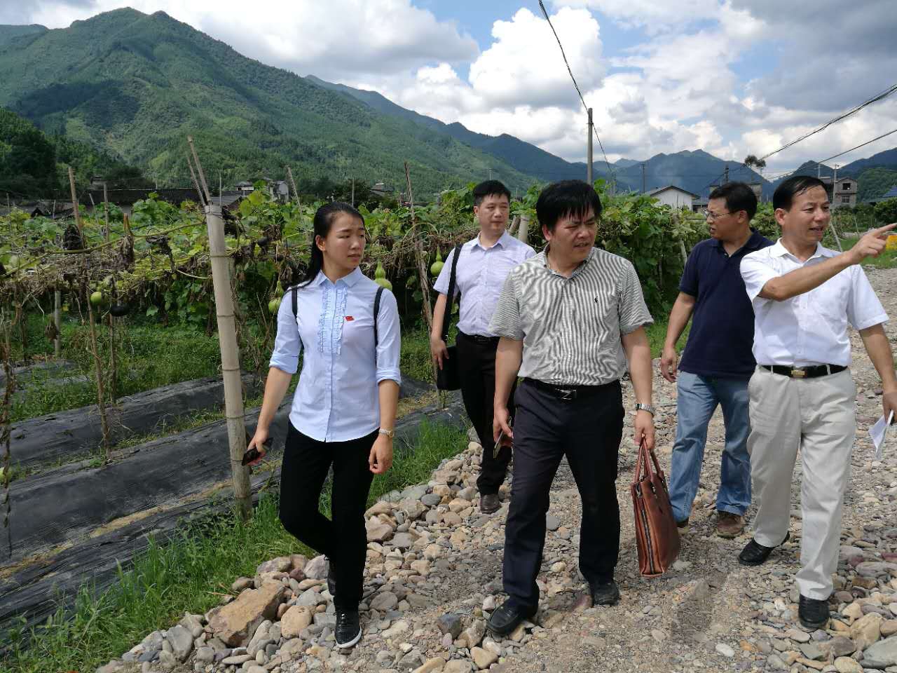图：调研组考察农耕蔬菜基地.jpg