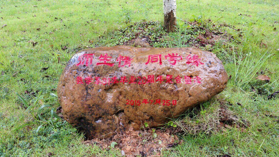 纪念树下留言
