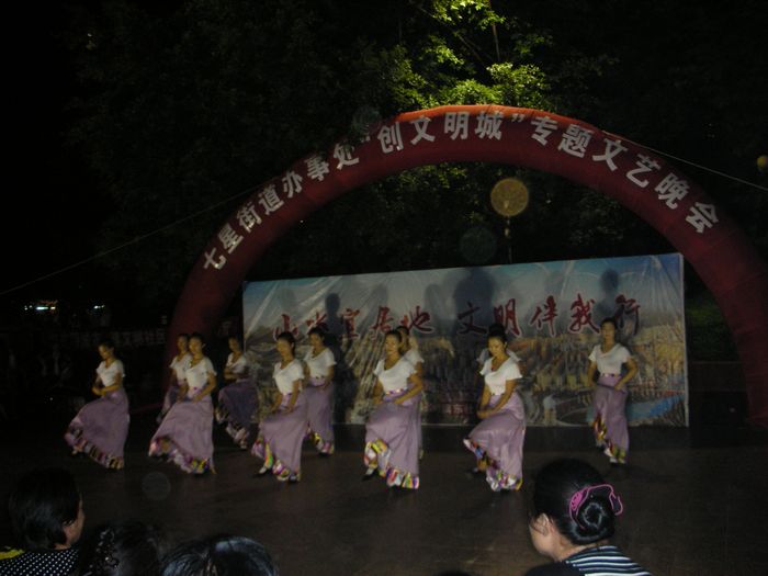 舞蹈学专业同学表演藏族舞蹈《青草地》