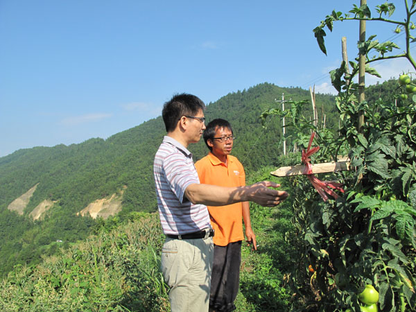 与当地种植户了解种植情况