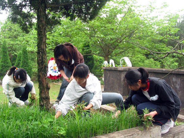 学生们在给马君武墓除草。
