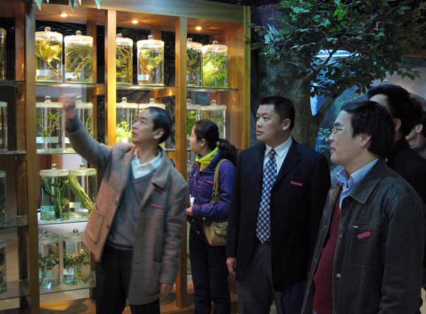 王源平副书记检查生物多样性标本馆植物展室。