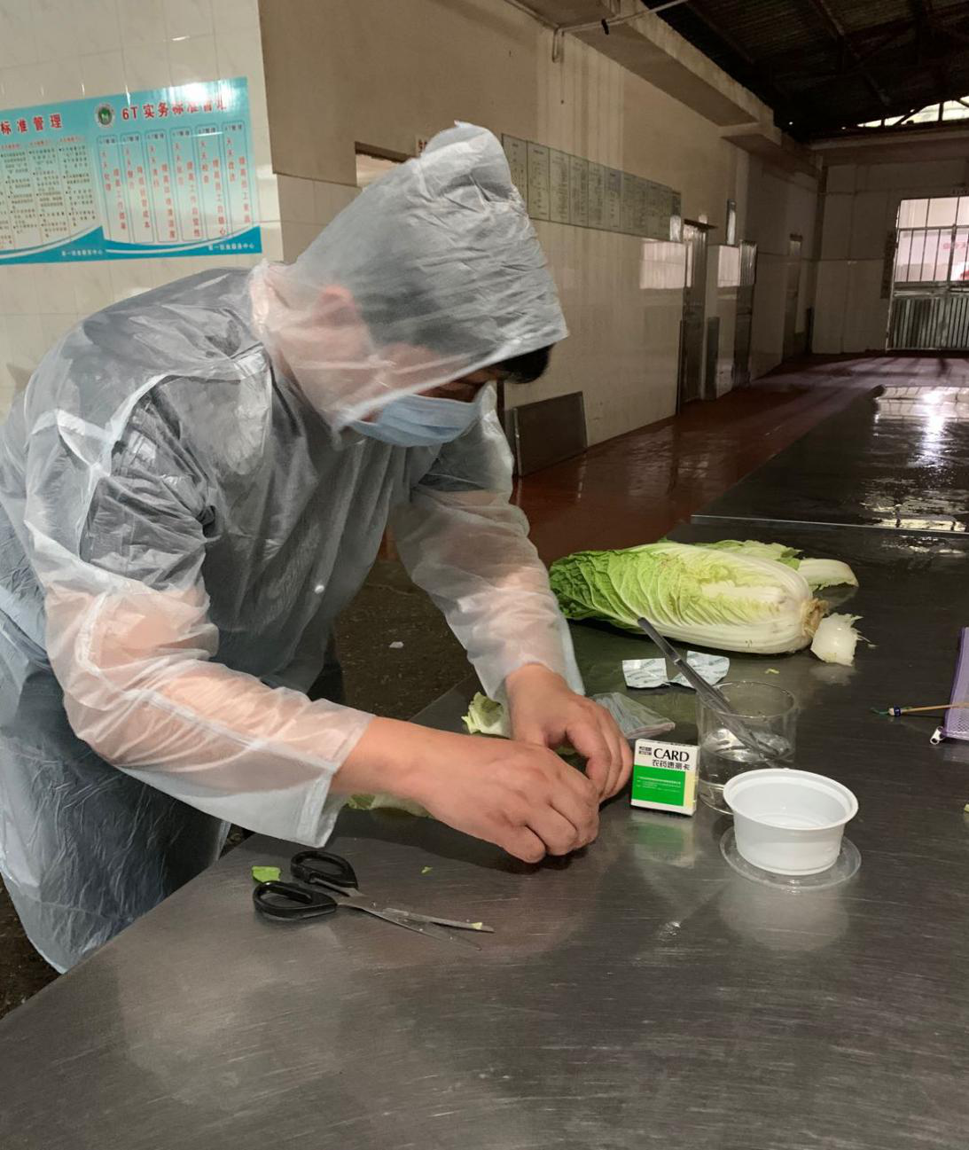 物资采购服务中心质检员对白菜进行蔬菜农残检测