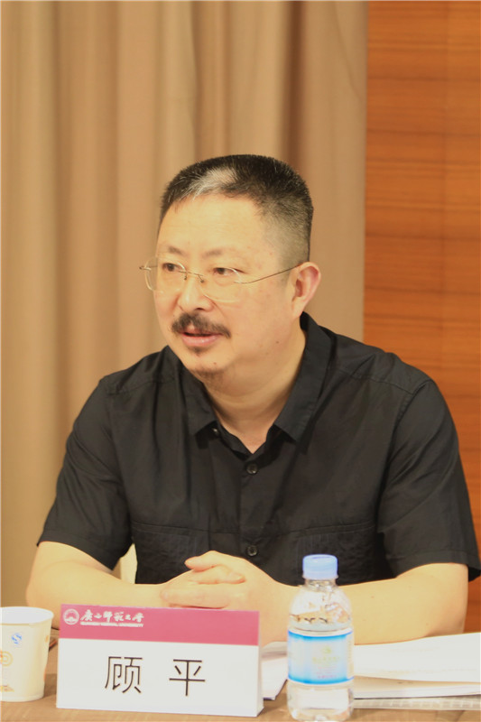 华东师范大学美术学院常务副院长顾平教授发言